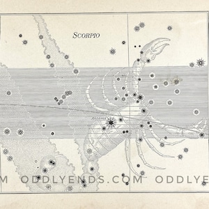 1900s Scorpio Constellation, Not Reproduction, Antique Publication, Astronomy, Space, Stars, Vintage Home Decor