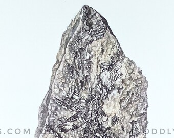 1967 Minerals, Rare Not Reproduction, Vintage Publication, Fossils, Gemstones, Crystals
