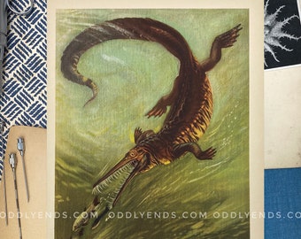 1960s Large Prehistoric Sea life, Not Reproduction, Vintage Publication, Fish, Dinosaurs, Ocean, Antique Home Decor