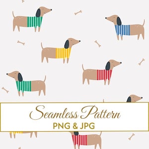 Puede incluir: Patrón sin costuras con perros salchicha de dibujos animados que llevan suéteres a rayas en verde, azul, amarillo y rojo. Los perros son de color canela con orejas negras y están intercalados con formas de huesos sobre un fondo blanco. Se muestra el texto "Seamless Pattern PNG & JPG".
