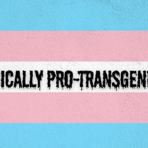 May include: A horizontal striped flag featuring light blue, light pink, and white bands. The text RADICALLY PRO-TRANSGENDER is printed in black, dripping-style capital letters across the center white stripe against a textured background.