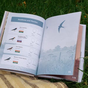 Pode incluir: Um livro aberto nas páginas 94 e 95 intitulado Swallows and Martins. A página esquerda lista espécies de aves como a andorinha-das-chaminés e a andorinha-das-barreiras com ilustrações. A página direita apresenta uma ilustração de paisagem em azul.