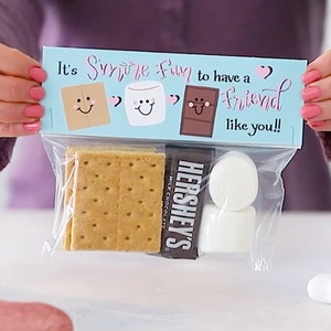 It's S'more Fun to Have a Friend - Printed Bag Toppers for Snack Size Baggies