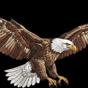May include: An embroidered patch featuring a bald eagle in flight with wings fully spread. The eagle has a white head and tail, brown body feathers, and a yellow beak and talons. The design is rendered with detailed stitching on a black background.