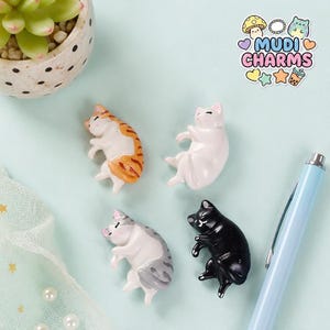 Puede incluir: Cuatro pequeñas figuras de gatos en varios colores, incluyendo atigrado naranja, blanco sólido, atigrado gris y negro sólido. Cada gato está representado en una pose de sueño o descanso. Un logotipo en la esquina superior derecha dice MUDI CHARMS con iconos de un hongo, cuentas, un gato, corazones, una estrella y una taza de té de burbujas.