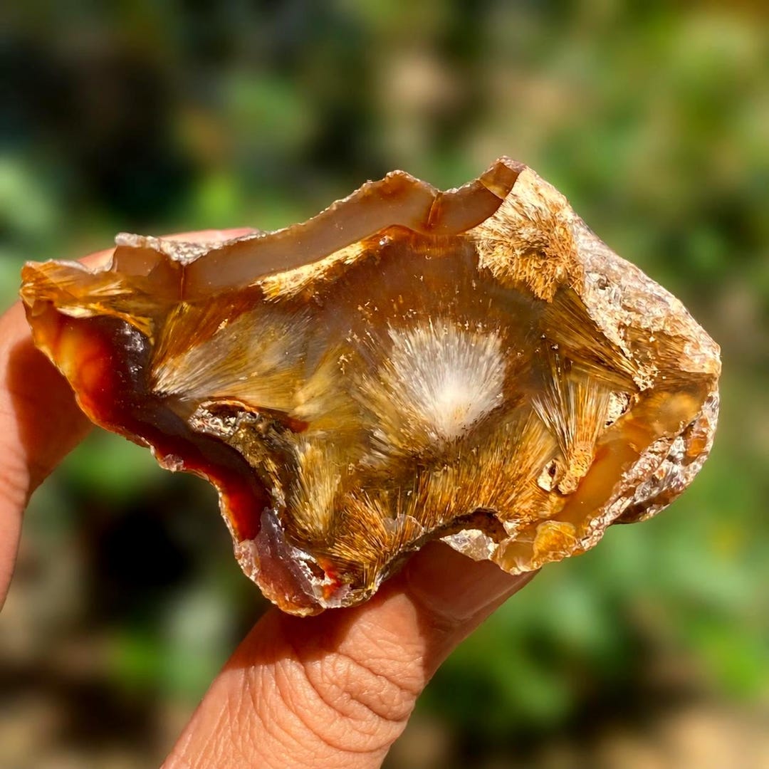 Sagenite Agate Specimen 70x40x48mm | Golden Starburst Inclusions - Etsy