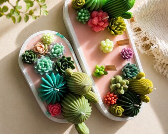 Jardín del desierto