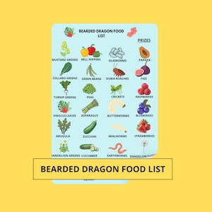 Puede incluir: Un gráfico rectangular azul claro titulado BEARDED DRAGON FOOD LIST. Presenta ilustraciones de verduras como mostaza, pimientos, col, judías verdes, guisantes, espárragos, rúcula, calabacín, pepino, y frutas como papaya, higos, frambuesas, arándanos, fresas y flores de diente de león, junto a insectos como gusanos de seda, cucarachas dubia, grillos, gusanos de mantequilla, gusanos de la harina y lombrices.
