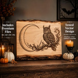 May include: A rectangular piece of light-coloured wood with a natural bark edge featuring a laser-engraved design of an owl perched on a branch in front of a crescent moon. The engraving includes intricate patterns on the owl and surrounding vines.