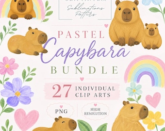 Watercolor Capybara Clipart Bundle, 27 Rainbow, Floral and Heart PNGs for Sublimation