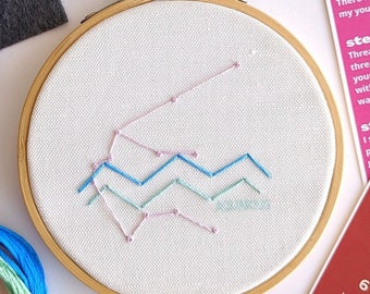 Aquarius Mini Embroidery Kit