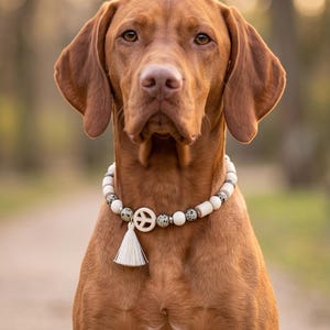 May include: A Vizsla dog wearing a beaded collar featuring white cylindrical beads, speckled grey and white round beads, and a central white peace sign charm with a hanging white fabric tassel. The dog has a smooth, solid copper-colored coat.