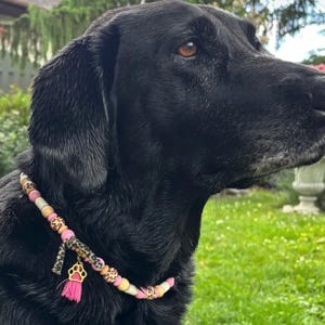 May include: A beaded collar worn by a black dog, featuring a mix of pink, cream, and leopard-print beads. The collar includes a gold-toned metal paw print charm and a small, bright pink fabric tassel hanging from a leopard-print fabric strip.