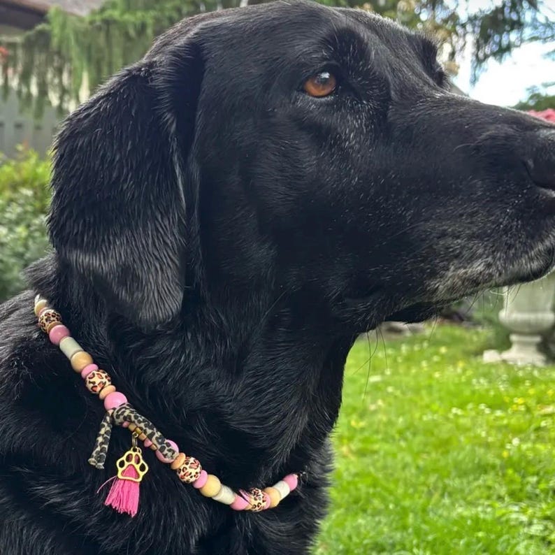 May include: A beaded collar worn by a black dog, featuring a mix of pink, cream, and leopard-print beads. The collar includes a gold-toned metal paw print charm and a small, bright pink fabric tassel hanging from a leopard-print fabric strip.