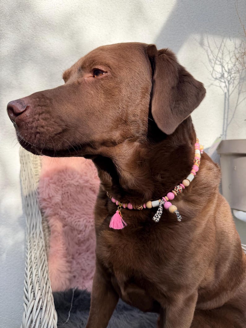May include: A beaded pet collar featuring a mix of pink, tan, and white beads, accented with leopard print patterns. The collar includes a small pink tassel charm and two short fabric strips with a black and white animal print design.