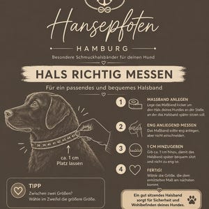 May include: An instructional graphic on a dark brown background titled Hansepfoten Hamburg. It features a line drawing of a dog with a measuring tape around its neck, accompanied by four numbered steps and a tip for measuring a dog's neck size.