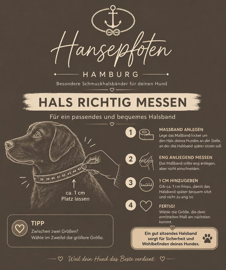 May include: An instructional graphic on a dark brown background titled Hansepfoten Hamburg. It features a line drawing of a dog with a measuring tape around its neck, accompanied by four numbered steps and a tip for measuring a dog's neck size.