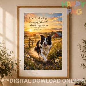 May include: A framed wall art print featuring a black and white border collie running through a field of wildflowers at sunset. The text reads: I can do all things through Christ who strengthens me. Philippians 4:13. A red barn is in the background.