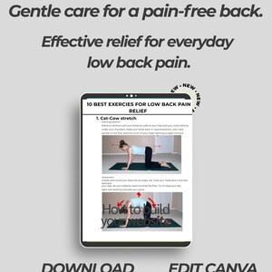 May include: A digital document titled 10 Best Exercises for Low Back Pain Relief featuring instructions for the Cat-Cow stretch. The text reads Gentle care for a pain-free back. Effective relief for everyday low back pain. Download Edit Canva A4.
