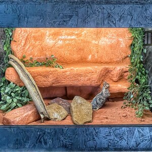Peut inclure: Un terrarium pour reptiles avec un cadre bleu foncé texturé. À l'intérieur, une formation rocheuse orange en couches, une branche en bois et de la verdure artificielle créent un habitat naturaliste. Une petite figurine de lézard décorative est également présente.