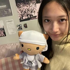 May include: A plush toy featuring a Hello Kitty design, dressed in a gray outfit with a white durag and a silver chain necklace. The necklace has the number "012" on it. The plushie has brown ears and a yellow nose. The background includes posters.