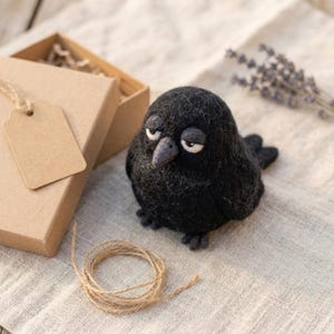 Zestaw do filcowania igłowego „Sleepy Annoyed Raven” | Zabawne zwierzątka dla początkujących (zrób to sam)