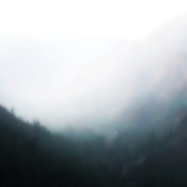 Dream like / Fog / Nature / Abstract / Forest / Soft / Gray / Dark Green