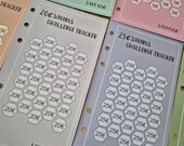 Cash stuffing 100 dagen spaaruitdaging | spaar voor je reis | A6 budget challenge kaarten