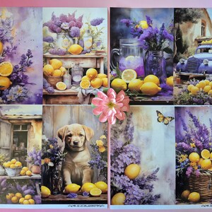 Pode incluir: Uma colagem de imagens em aquarela com lim&otilde;es, lavanda e um cachorrinho. As imagens mostram lim&otilde;es em cestos, potes e um caminh&atilde;o, com buqu&ecirc;s de lavanda. Uma borboleta e uma flor rosa tamb&eacute;m est&atilde;o presentes.