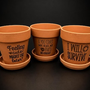 Funny Engraved Terracotta Planter Pot with Drainage Tray – Succulent & Herb Planter