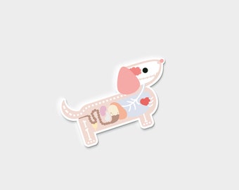 Darby + Dot™ Sticker - Dot Anatomy