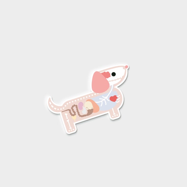 Darby + Dot™ Sticker - Dot Anatomy