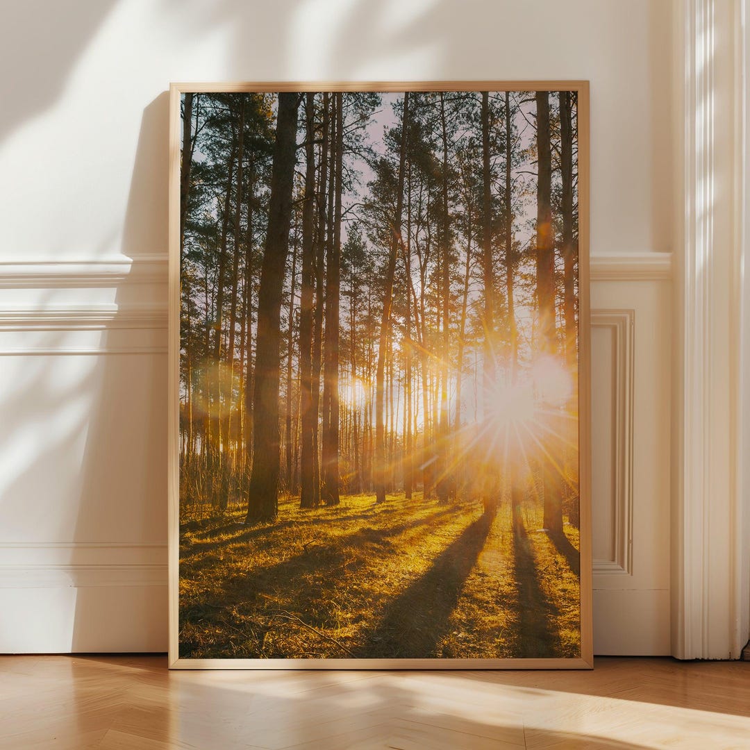 Surreal Forest Landscape Poster Print - Sunburst Forest Wall Art ...