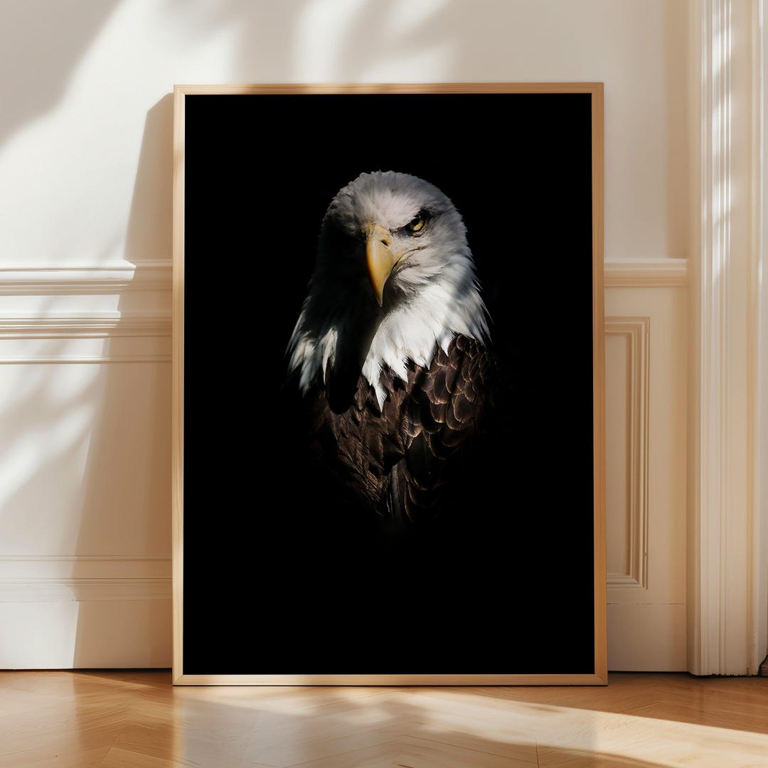 Bald Eagle Portrait Poster Print - Eagle Close up Wall Art - Bird of ...