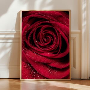 Peut inclure: Gros plan d'une impression encadrée d'une rose rouge vibrante avec des gouttelettes d'eau. Les pétales de la rose sont enroulés, révélant le centre de la fleur. L'impression est dans un cadre en bois, sur un mur blanc et un sol en bois.