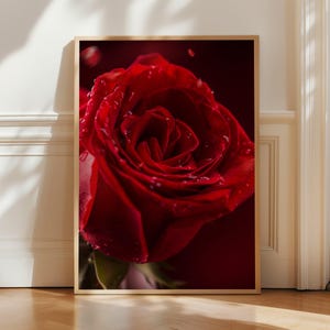 Peut inclure: Impression encadrée d'une rose rouge vif, couverte de gouttelettes d'eau. La rose est en pleine floraison, avec des pétales détaillés. Le fond est rouge foncé, accentuant la couleur de la rose. Le cadre est marron clair.