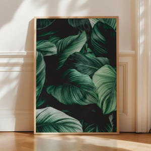 Póster con estampado de hojas tropicales - Arte mural de hojas - Decoración del hogar con textura botánica - Pósteres de decoración de pared con diseño de naturaleza