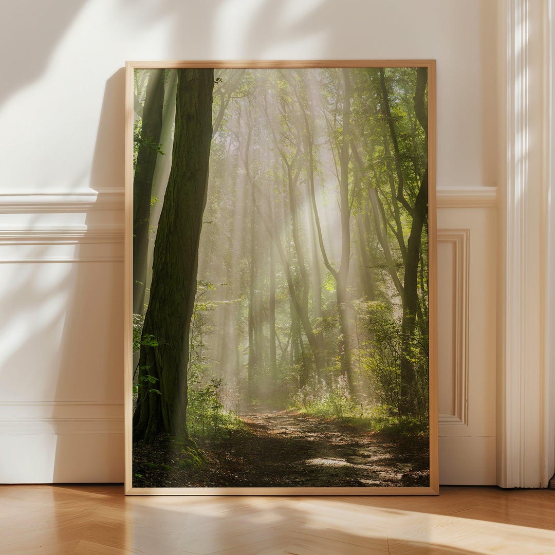 Surreal Forest Landscape Poster Print - Light Beam Path Wall Art ...