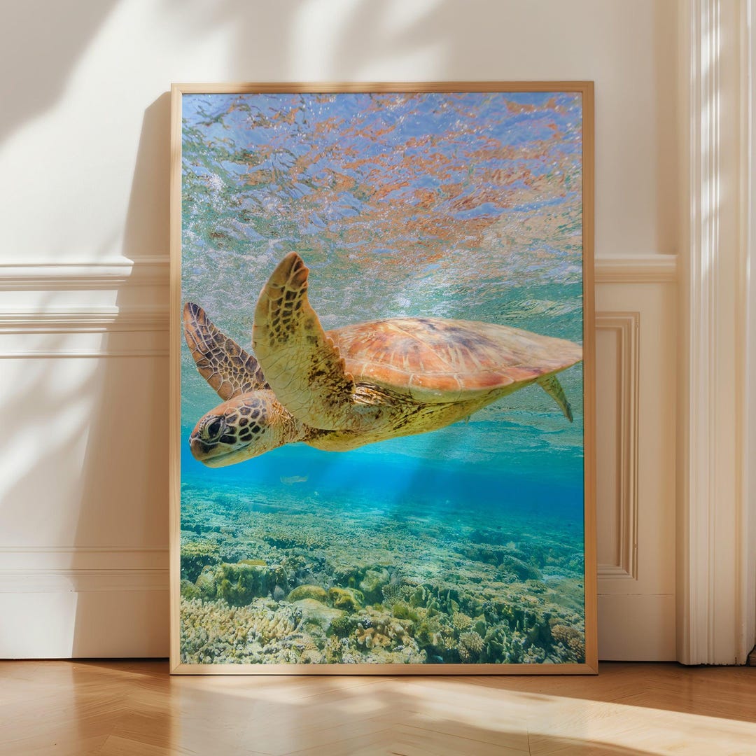 Sea Turtle Ocean Poster Print - Underwater Turtle Wall Art - Coral Reef ...