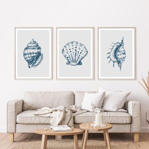 May include: Three framed prints featuring detailed blue seashell illustrations on a light gray background. The artwork includes a spiral conch, a fan-shaped shell, and a spiky shell, all in a nautical theme. The prints are displayed above a beige sofa.