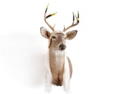 One Of A Kind "Tranny Dermy" TaxiArt Deer with Synthetic Hair & Hand Dipped Painted Antlers