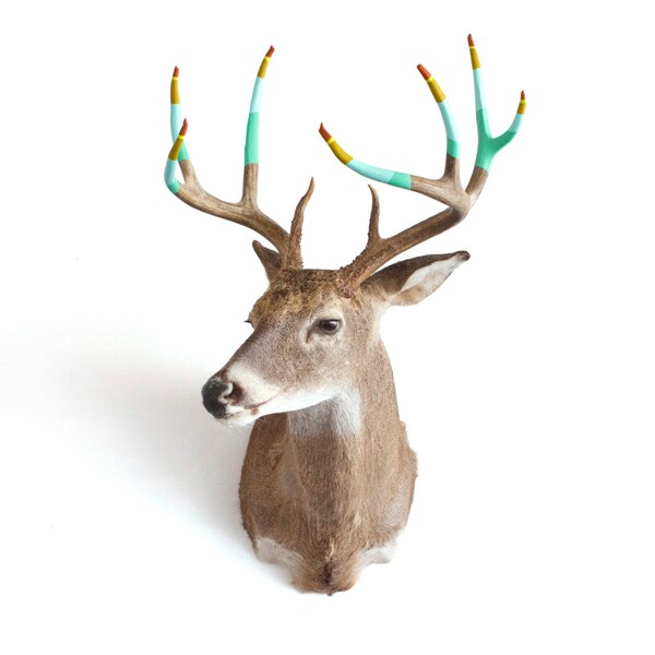 Taxidermy Deer with Hand Dipped Painted Antlers