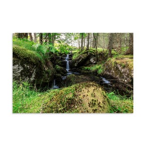 Forrest Stream Long Exposure Photo paper poster