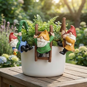 May include: A white ceramic planter featuring three garden gnomes. One gnome in a red hat hangs from a green vine, one in a yellow hat climbs a brown wooden ladder, and one in a red hat climbs a brown wooden post. The planter contains green plants.