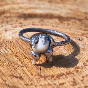 Handmade Tooth Ring, Natural Artifact Jewelry, Organic Statement Ring, One of a Kind Artisan Piece
