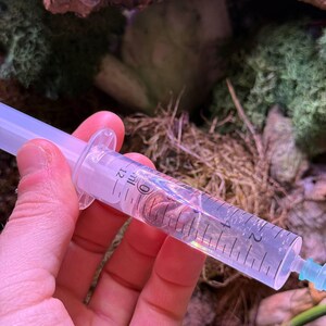 Peut inclure: Une seringue en plastique transparent remplie d'un liquide clair, tenue dans une main. La seringue a des marquages noirs et un embout bleu. L'arrière-plan présente de la mousse verte et une surface brune texturée.