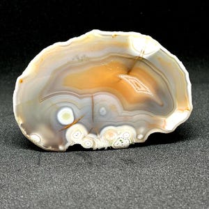 Può includere: Una fetta di pietra d'agata lucidata con bande concentriche di colore. La pietra presenta un mix di tonalità bianche, grigie e arancioni, con un motivo cristallino centrale. La pietra naturale è tagliata per rivelare la sua struttura interna.