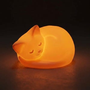 Sleeping Cat Night Light - USB Powered LED Adjustable Lamp - Custom Colors