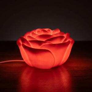 Rose Night Light - USB Powered LED Adjustable Lamp - Custom Colors