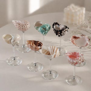 May include: A collection of eight seashell ornaments, each mounted on a clear glass stem and base. The shells vary in color and texture, including white, brown, and pink. The arrangement is on a white surface, with a soft, diffused light.